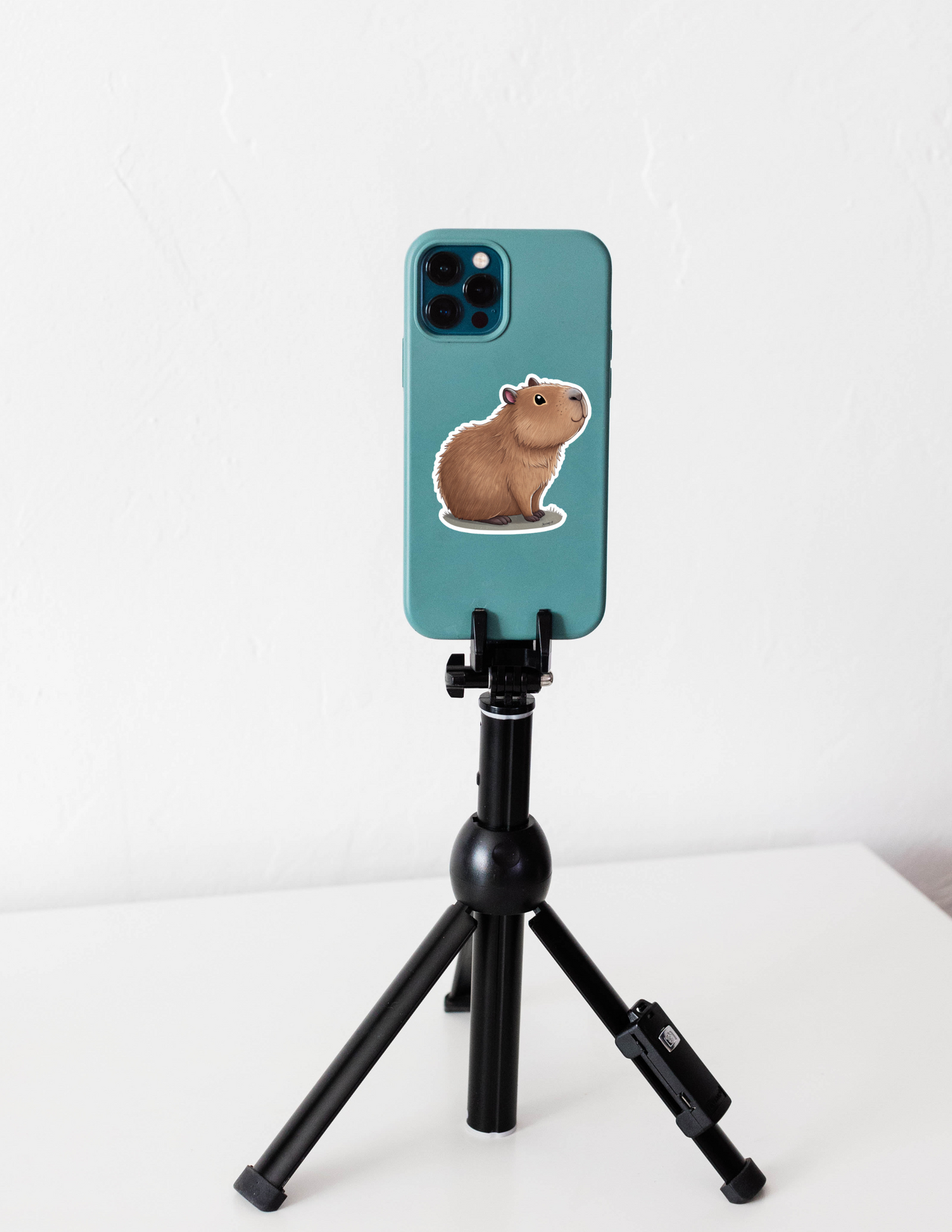 Capybara Sticker Pack