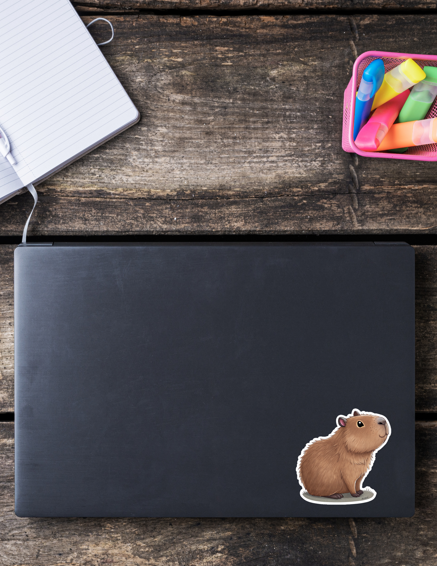 Capybara Sticker Pack