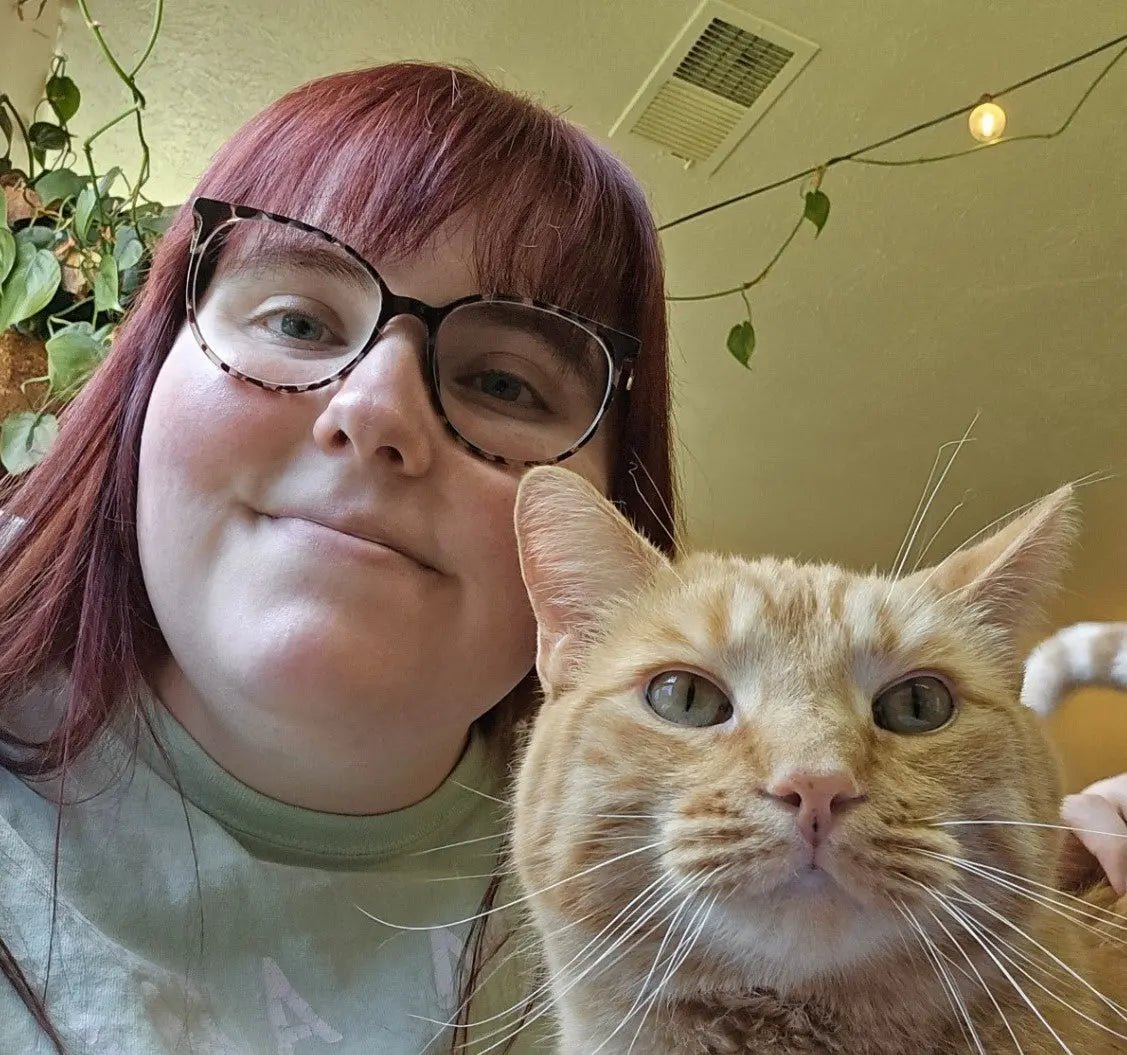 Welcome Blog - The TabbyLoaf