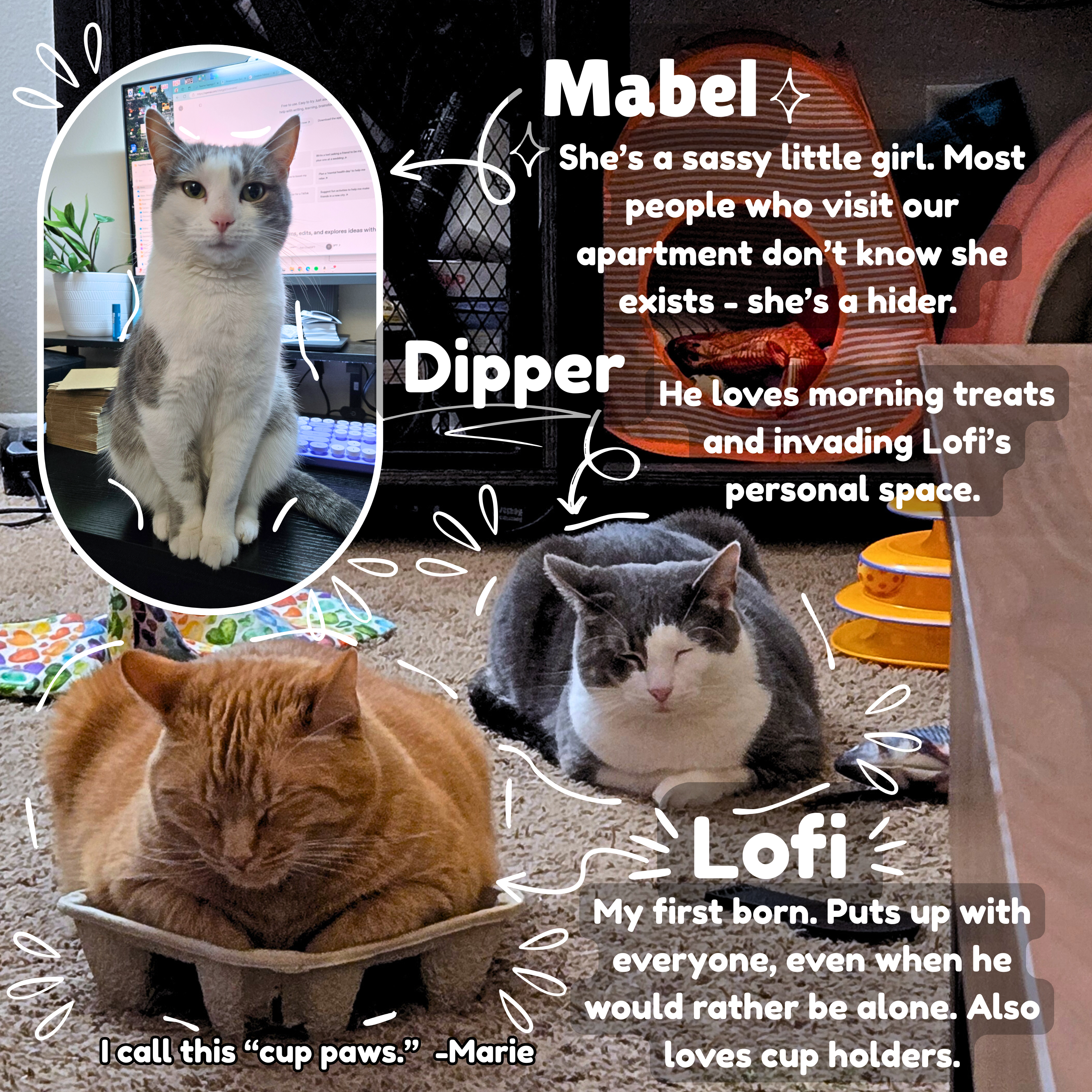 TabbyLoaf_Brand_Sticker_-_Blue_4996433d-3a3c-4aeb-a3cf-33973e5d7d69.png