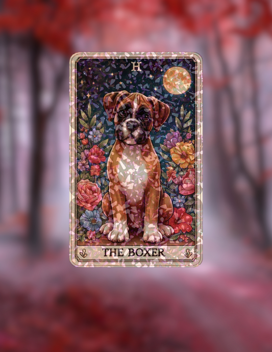 The Boxer - Holographic