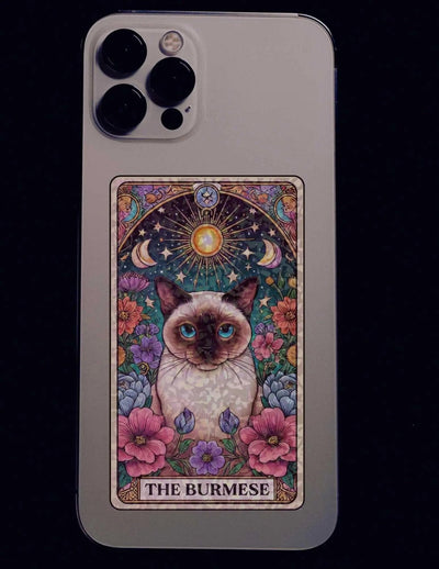 Everyday Cats – Sticker Pack - Holographic Sticker | The TabbyLoaf