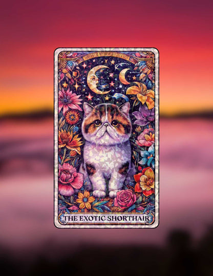 The Exotic Shorthair – Holographic Cat Tarot Sticker