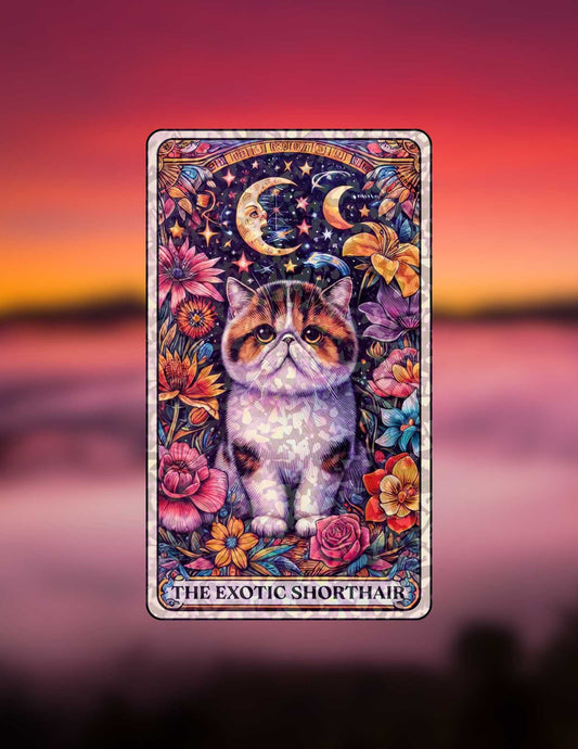 The Exotic Shorthair – Holographic Cat Tarot Sticker