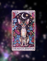 Mystical Midnight Cats – Sticker Pack - Holographic Sticker | The TabbyLoaf