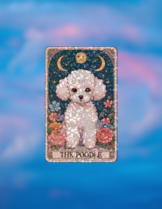 The Poodle - Holographic