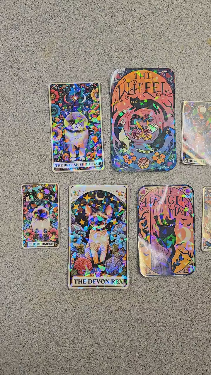 Mystical Midnight Cats – Sticker Pack