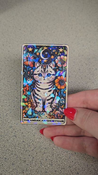 The American Shorthair – Holographic Cat Tarot Sticker
