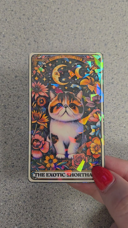 The Exotic Shorthair – Holographic Cat Tarot Sticker