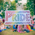 Pride (Rainbow Checkered Pattern) - Sticker - Holographic Sticker | The TabbyLoaf