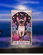 Rare & Radiant – Sticker Pack - Holographic Sticker | The TabbyLoaf