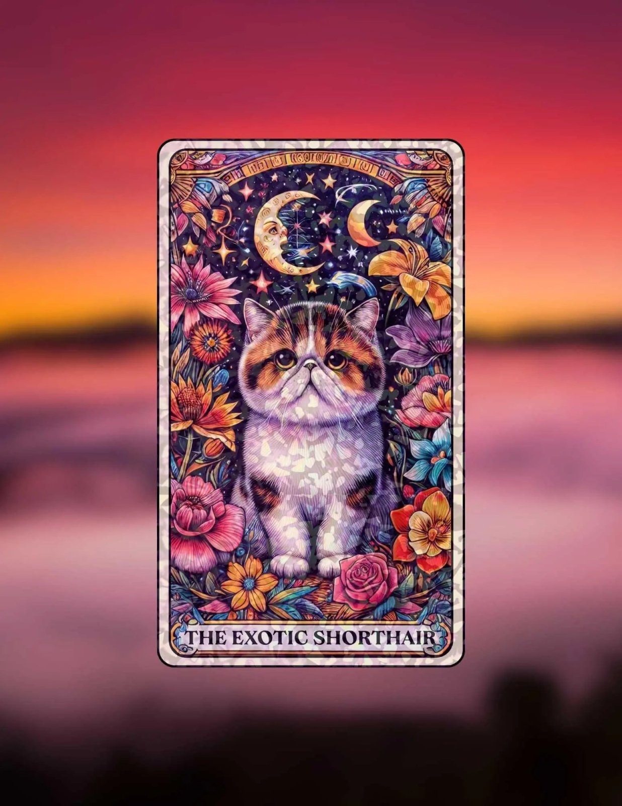 The Exotic Shorthair – Sticker - Holographic Sticker | The TabbyLoaf