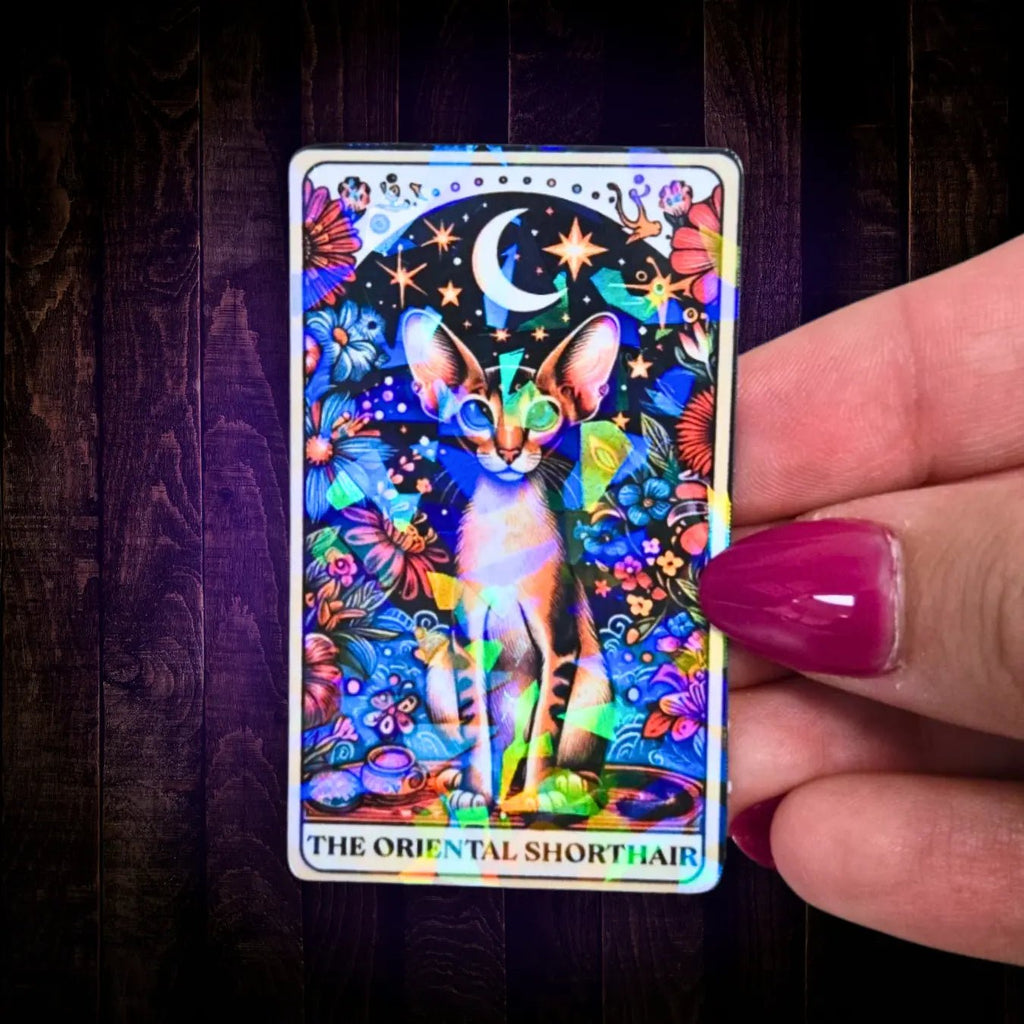 The Oriental Shorthair – Sticker - Holographic Sticker | The TabbyLoaf