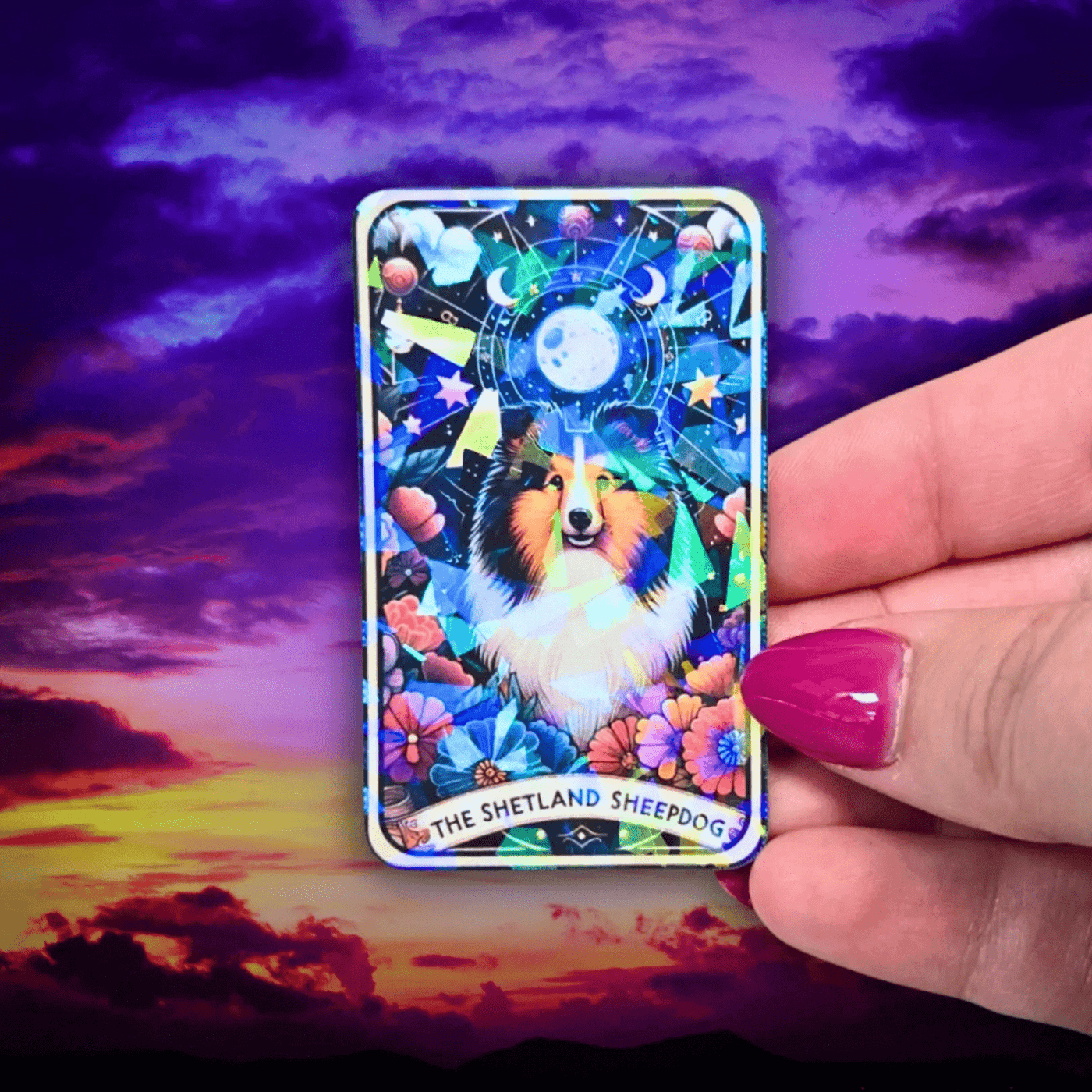 The Shetland Sheepdog - Sticker - Holographic Sticker | The TabbyLoaf